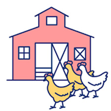 Summer Seal at poultry farms