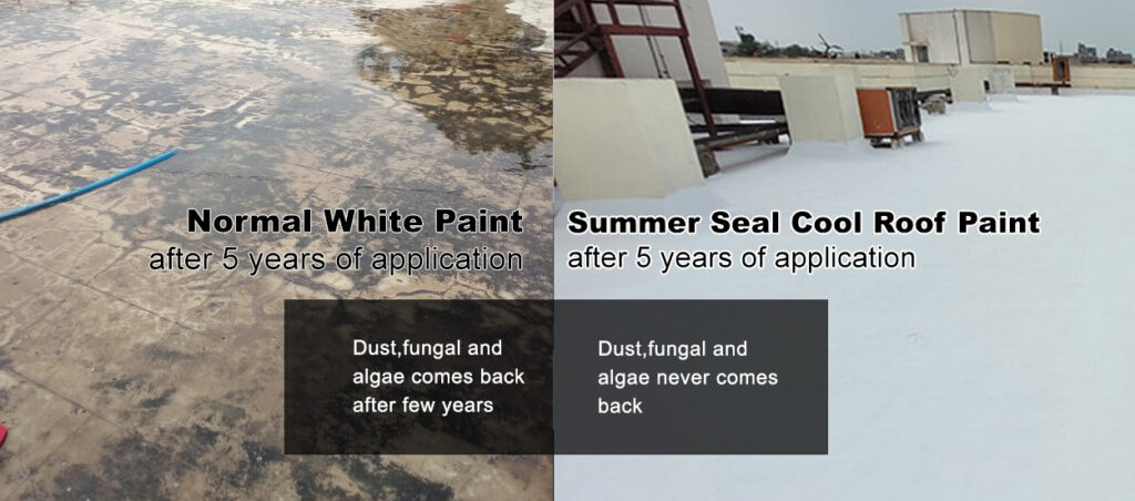 Cool Roof Paint Vs Normal Paint