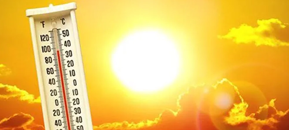 Heat Reflective Coating in Assam