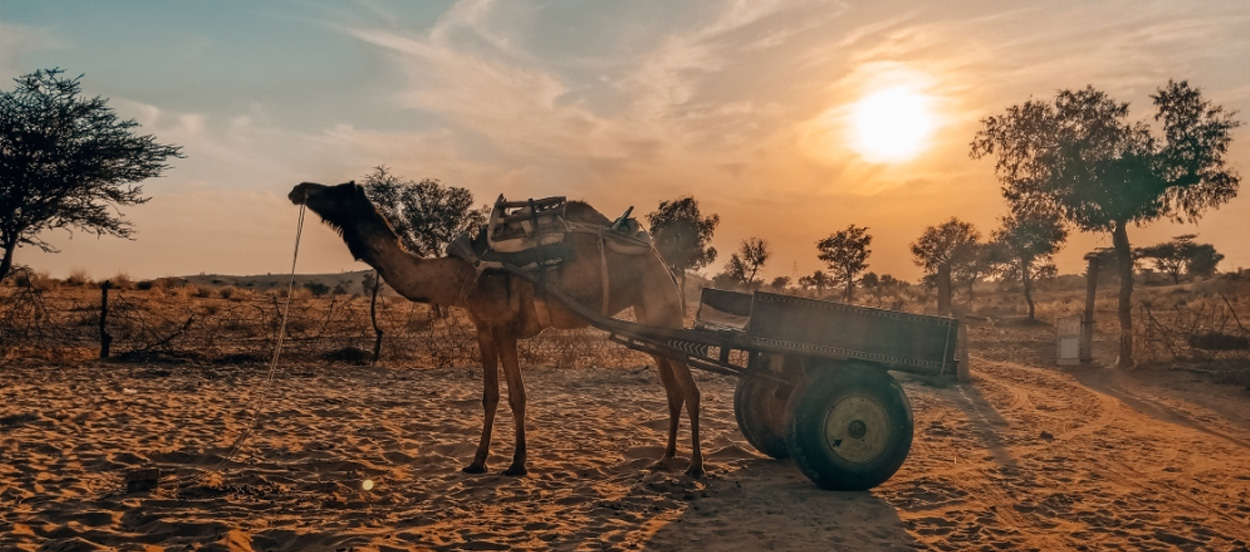 Paint for Cool Roof in Bikaner