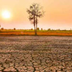 Roof Coating in Chhattisgarh