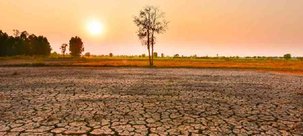 Roof Coating in Chhattisgarh