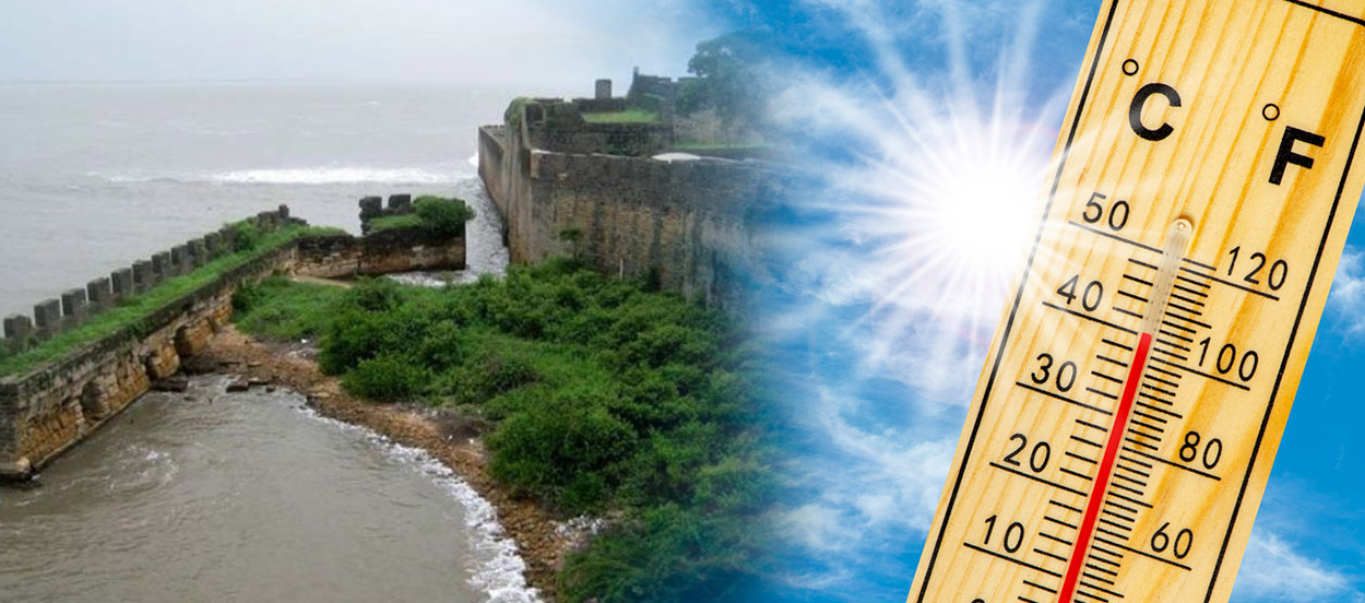 Cool Roof Coating in Daman and Diu