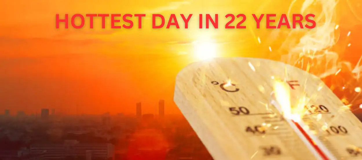 Cool Roof Paint in Chandigarh