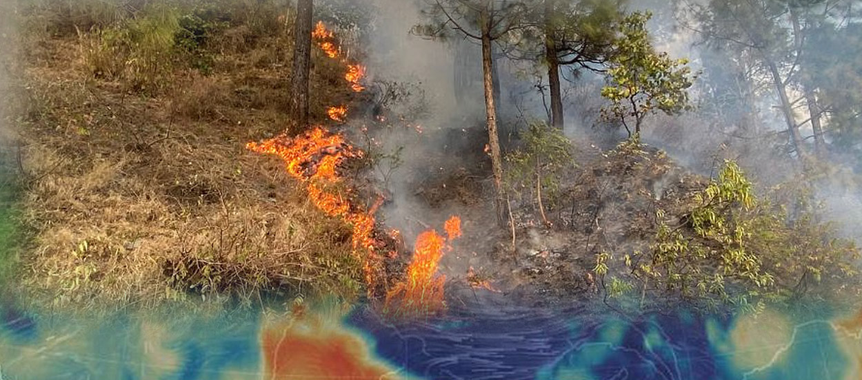 Cool Roof Paint in Uttarakhand