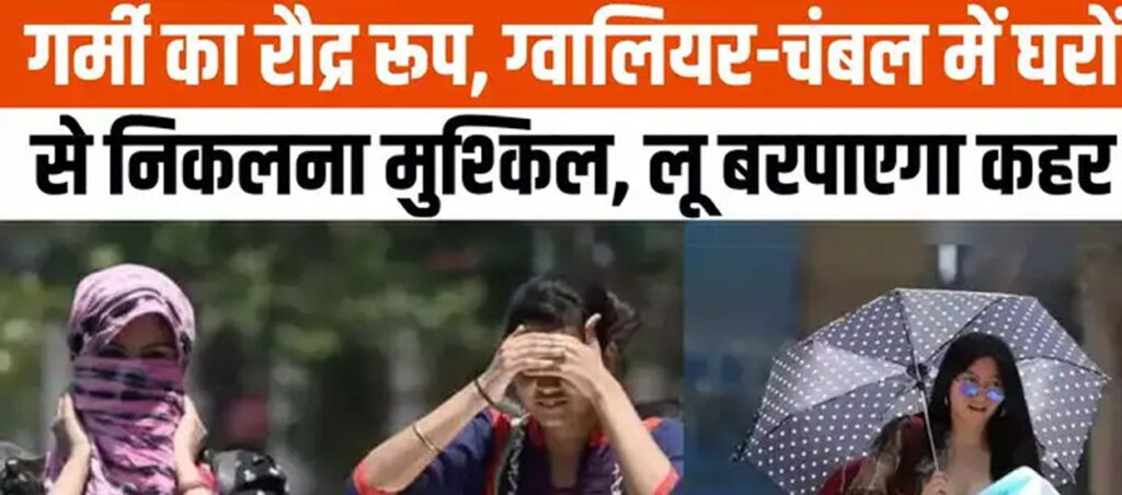 Cool Roof Coating in Gwalior