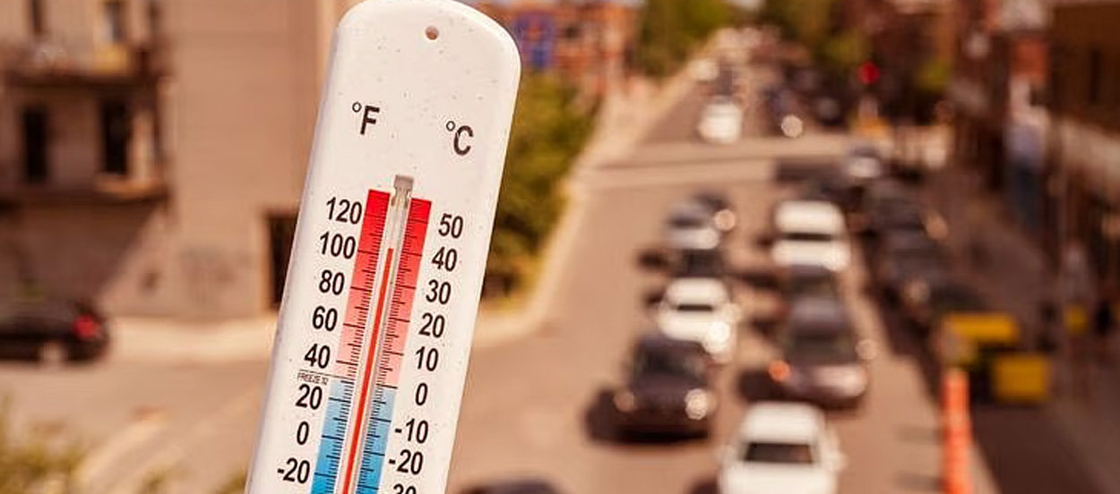 Cool Roof Paint in Jabalpur