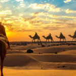 Cool Roof Coating in Jaisalmer