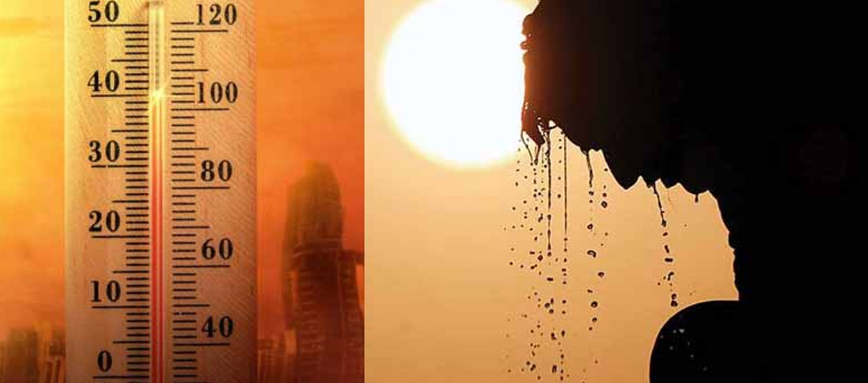 Heat Reflective Coating in Karimnagar