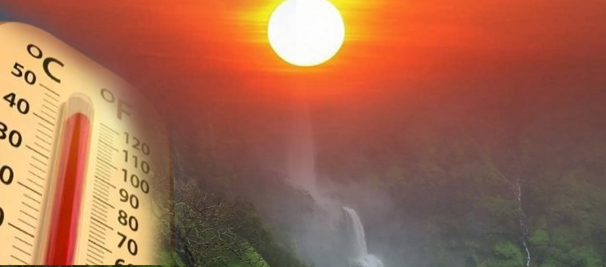 Cool Roof Coating in Satara