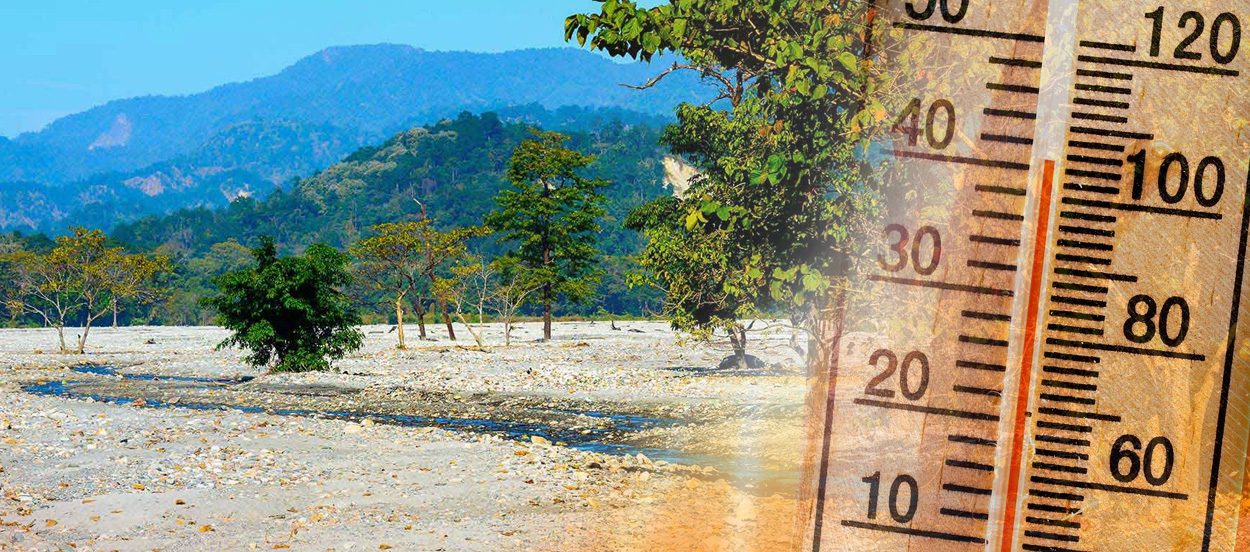 Heat Reflective Paint in Alipurduar