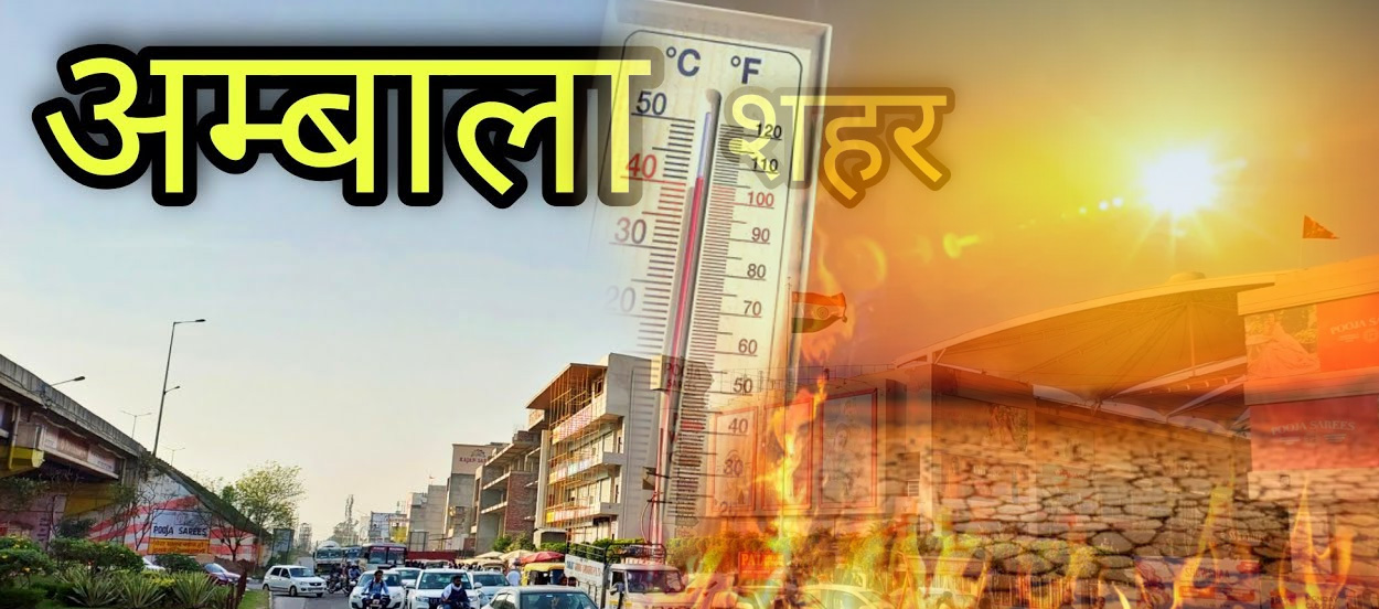 Energy Saving Roof Coating in Ambala