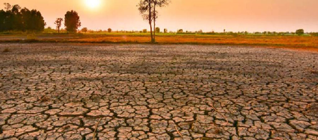 Best Cool Roof Paint in Ballia