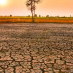 Best Cool Roof Paint in Ballia