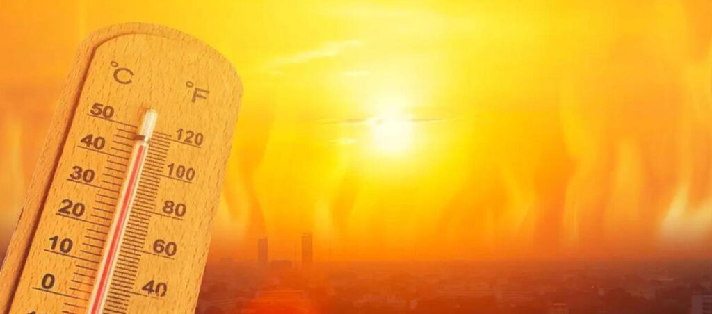 High SRI Paint in Bhadohi