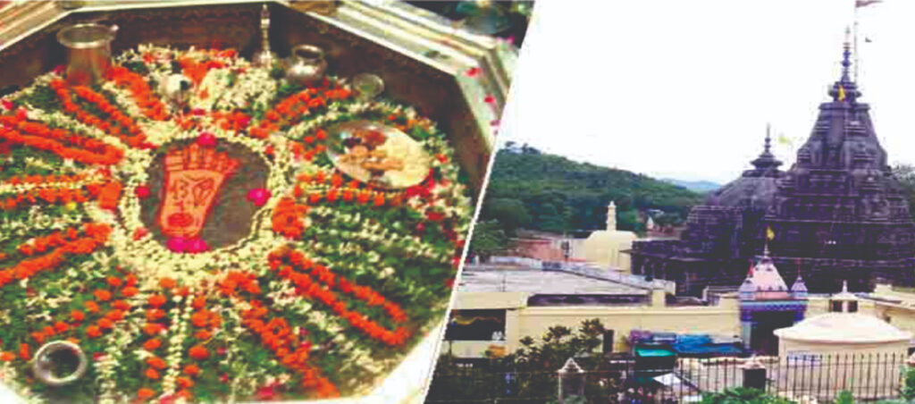 Heat Reflective Paint in Bhagalpur