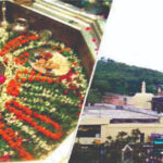 Heat Reflective Paint in Bhagalpur