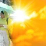 Best Roof Paint for Summer in Bijnor