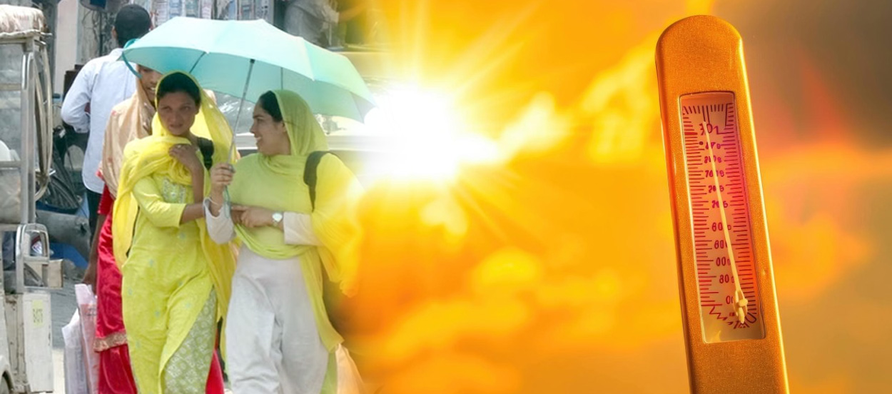 Best Roof Paint for Summer in Bijnor