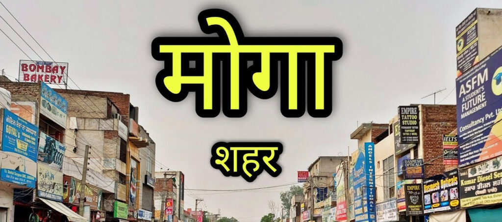 Thermal Reflective Coating in Moga