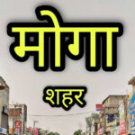 Thermal Reflective Coating in Moga