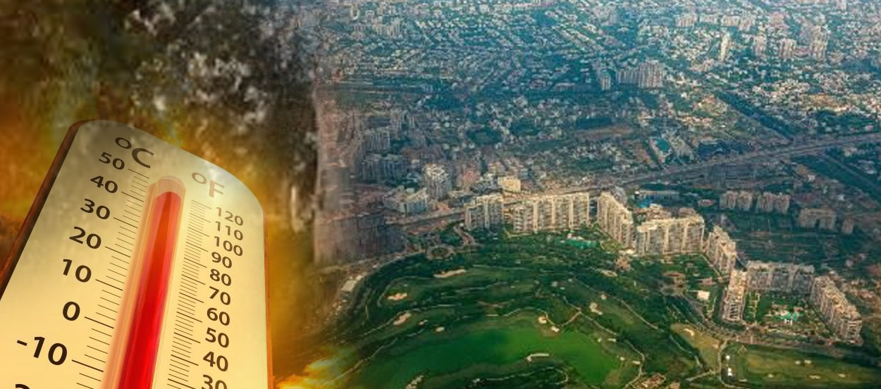 Cool Roof Coating in Pataudi