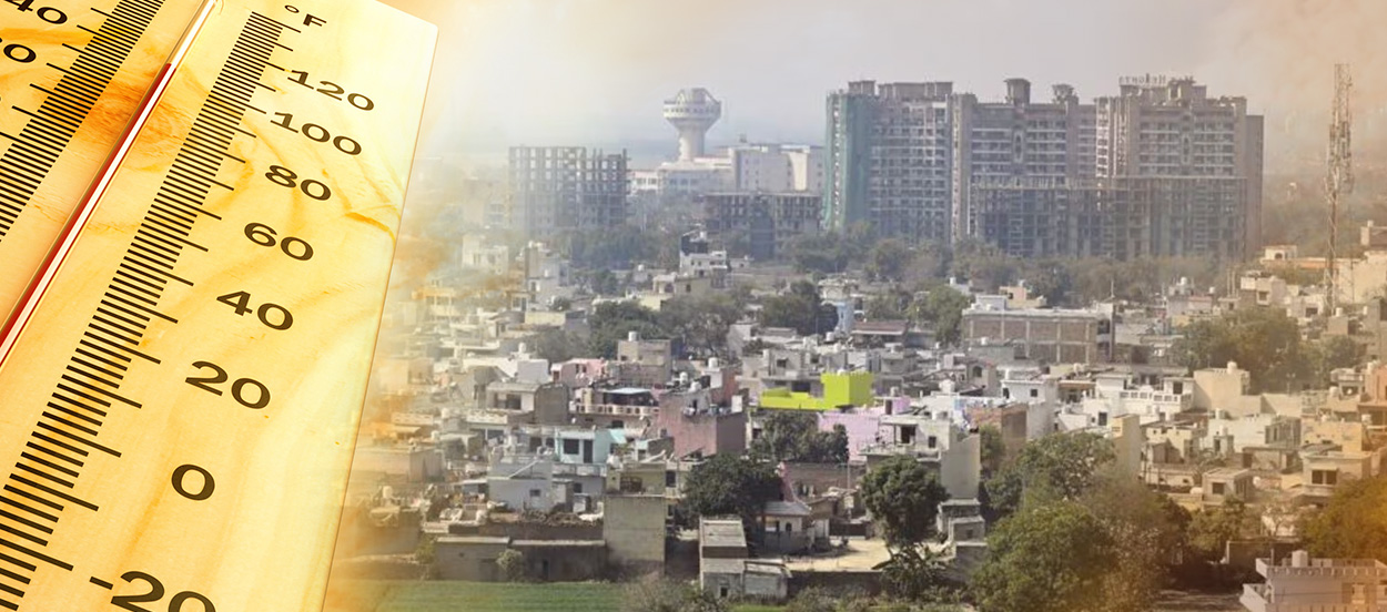 High SRI Paint in Sonepat