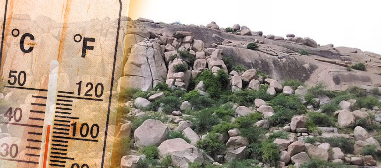 Cool Roof Paint in Ballari