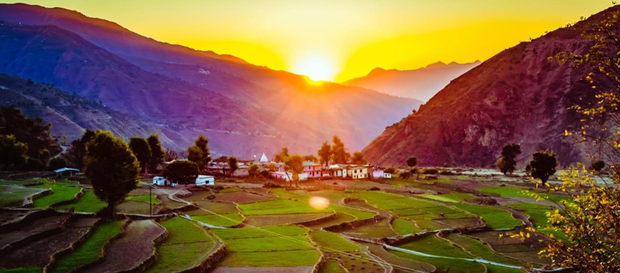 Cool Roof Paint in Dehradun