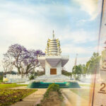 Cool Roof Paint in Imphal