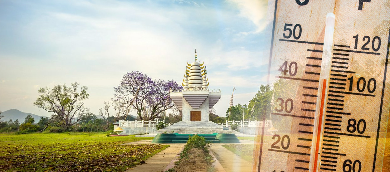 Cool Roof Paint in Imphal