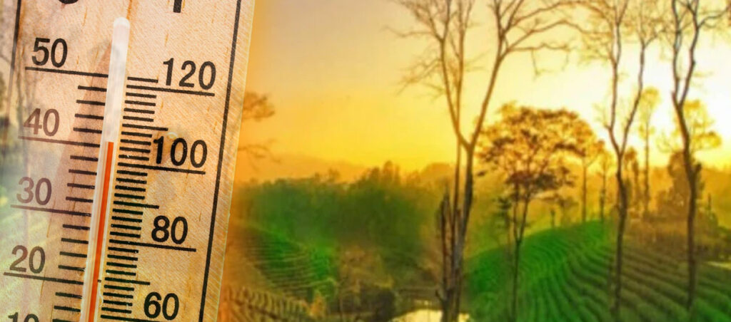 Cool Roof Paint in Nagaon