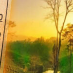 Cool Roof Paint in Nagaon