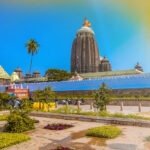 Energy Saving Paint in Puri