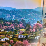 Cool Roof Paint in Shillong