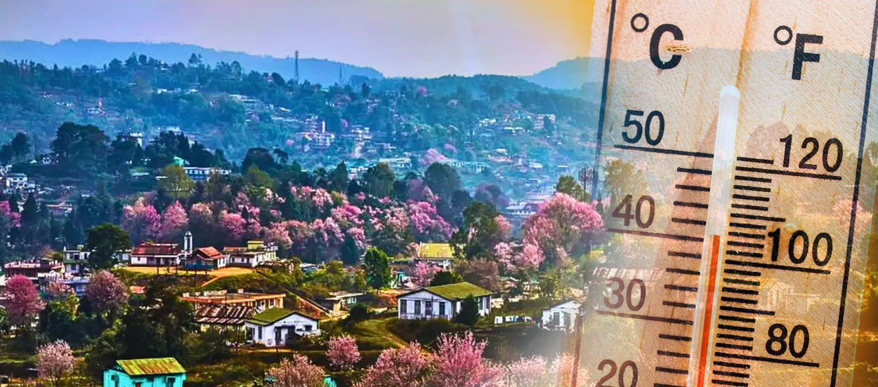 Cool Roof Paint in Shillong