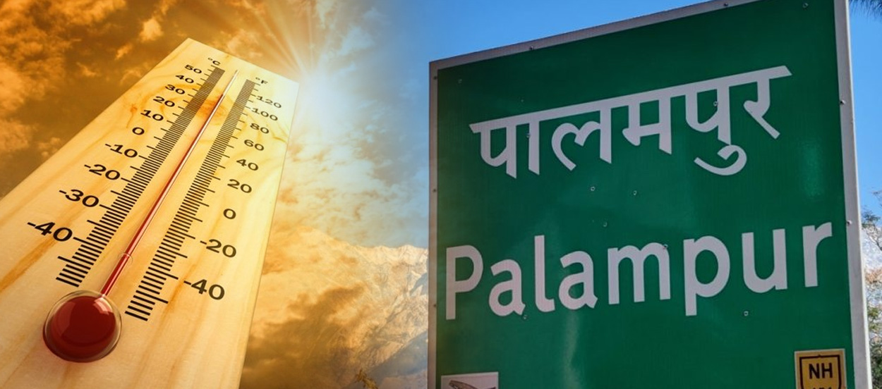 Cool Roof Paint in Palampur